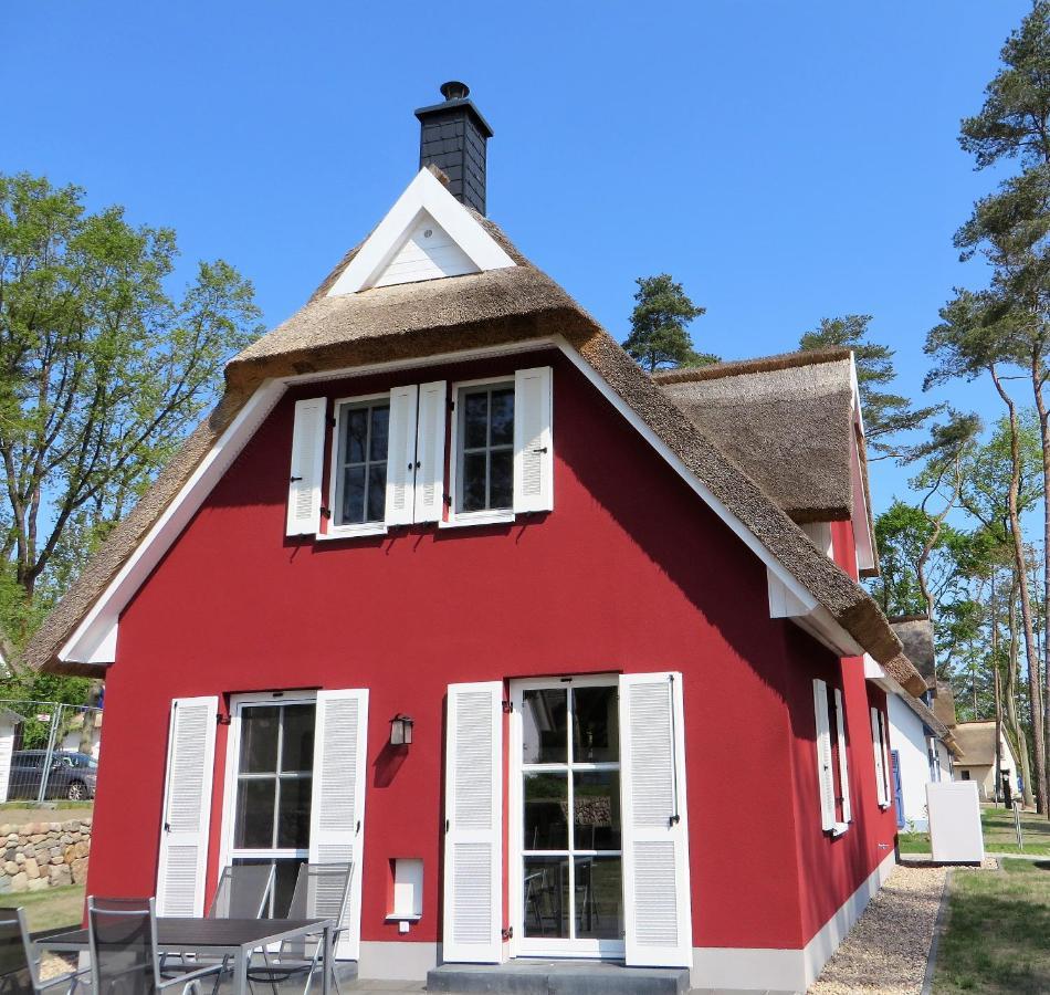 Reetdachhaus Am Haff Mit Sauna, Terrasse, Wlan Zirchow Zewnętrze zdjęcie
